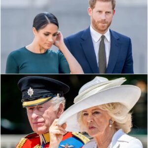 Royal Drama Erupts as Details of ‘Peace Summit’ Leak – Prince Harry and Meghan Left Stunned by What Aide Allegedly Told King Charles About Their Role in Family Rift
