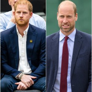 Prince Harry’s ‘fears’ over brother William as he’s ‘desperate to return to the UK’!