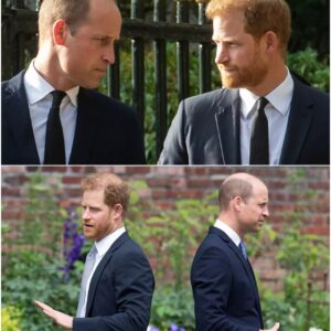 Prince Harry’s brutal ‘royal secrets’ warning that Prince William will ‘never forgive’!