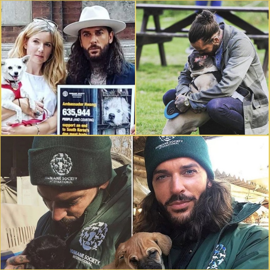 “From Death Row to Hope”. Pete Wicks is not just a TV star — he’s a hero. His decision to join the rescue mission saving 170 dogs from a South Korean meat farm is a testament to his compassion and dedication. This is a story of hope and redemption. WATCH NOW  DD