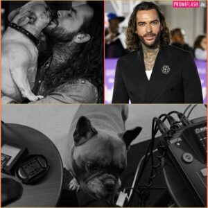 “I’m Broken Without You” — Pete Wicks Devastated as He Says Goodbye to Peggy, His Beloved French Bulldog, After Losing the Brave Fight for Life DD