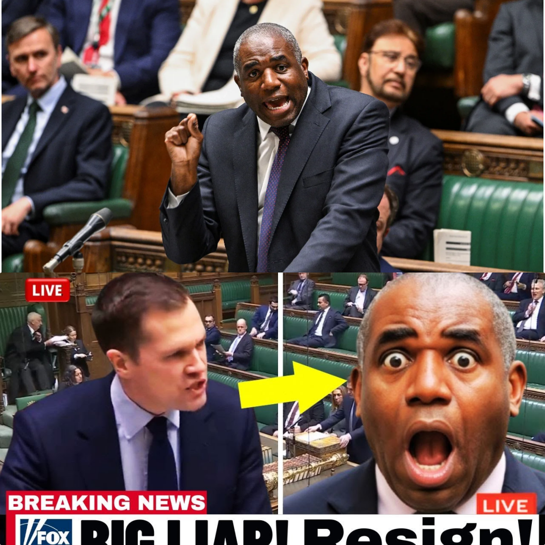 🔥🏛️ COMMONS MELTDOWN: David Lammy Torn Apart in a Brutal House of Commons Clash as Government MPs Launch a Relentless, No-Holds-Barred Attack