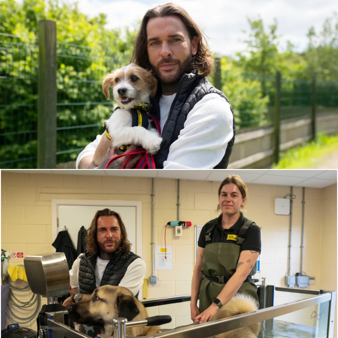 Pete Wicks Stuns Fans: “I’ll Pay Every Penny to Save Her” — Tearful Moment as TV Star Steps In for Dying Rescue Dog