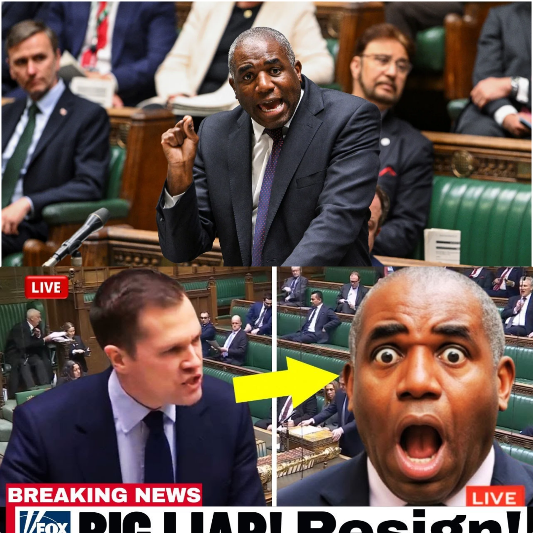 🔥🏛️ COMMONS MELTDOWN: David Lammy Torn Apart in a Brutal House of Commons Clash as Government MPs Launch a Relentless, No-Holds-Barred Attack GG