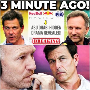 Toto Wolff Exposes the “Fatal Flaw” and “Total Gap in Character” That Destroyed Christian Horner’s Red Bull Reign