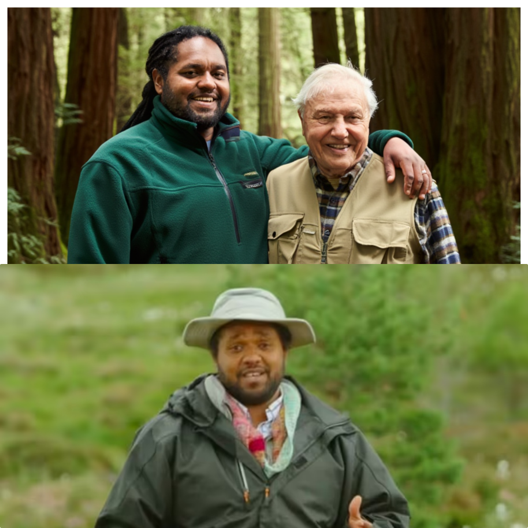 THE NEW KING HAS ARRIVED! ATTENBOROUGH PASSES THE BATON AS HAMZA YASSIN “BREAKS THE INTERNET”!