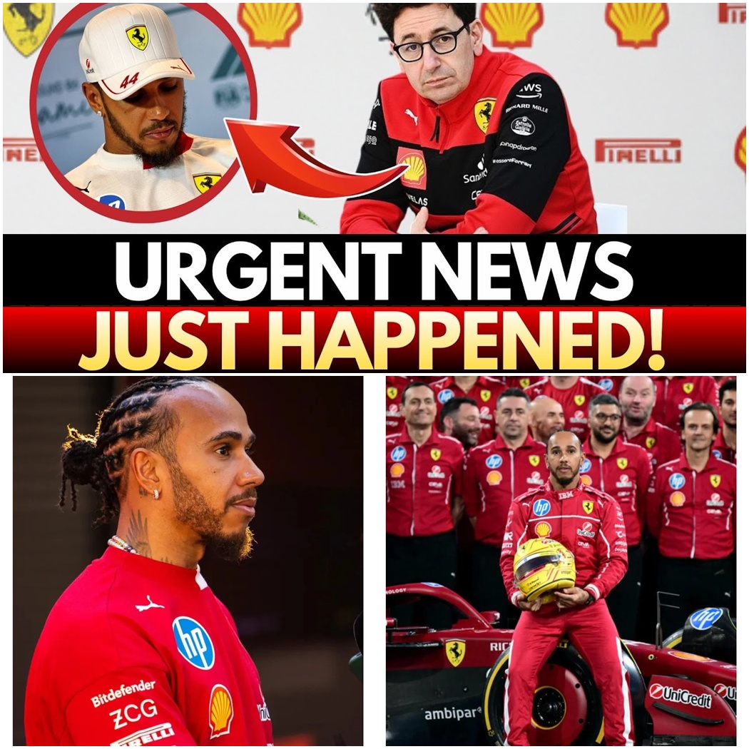 The Gamble of the Century: Inside Ferrari’s Secret Suspension Revolution and the “Illegal” Innovation That Could Hand Lewis Hamilton the World Title